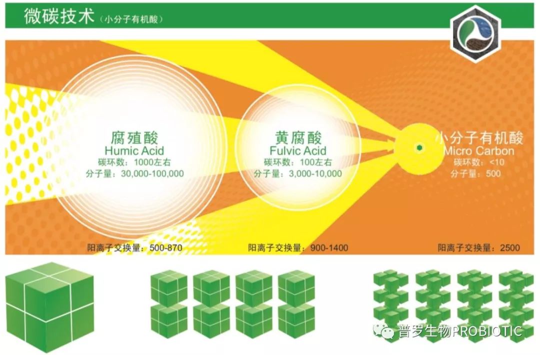 1555896106604126.jpg 1555896106604126.jpg