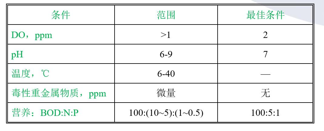 1559110583385106.jpg 1559110583385106.jpg