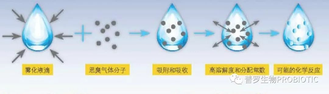 1560749009532458.jpg 1560749009532458.jpg