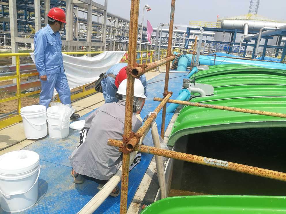 1563160595166995.jpg 1563160595166995.jpg