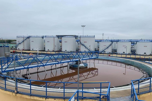 1565331654522120.jpg 微信圖片_20190808095946.jpg