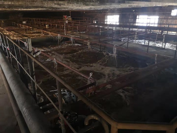 1567746838317398.jpg 生物制藥.jpg