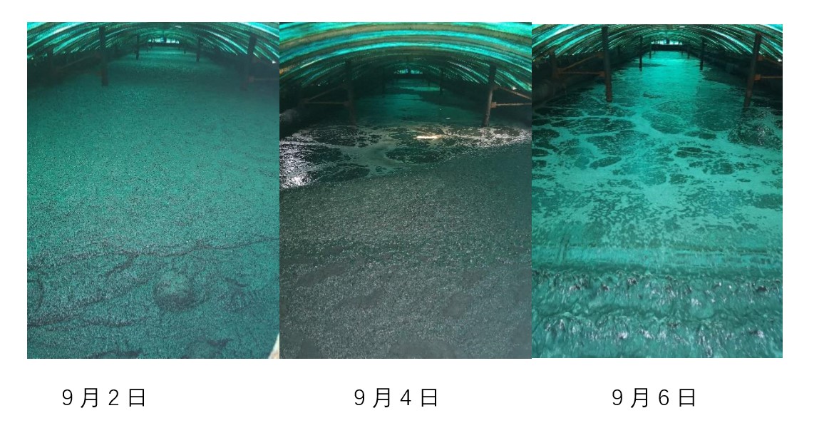 1568274752713776.jpg 1568274752713776.jpg