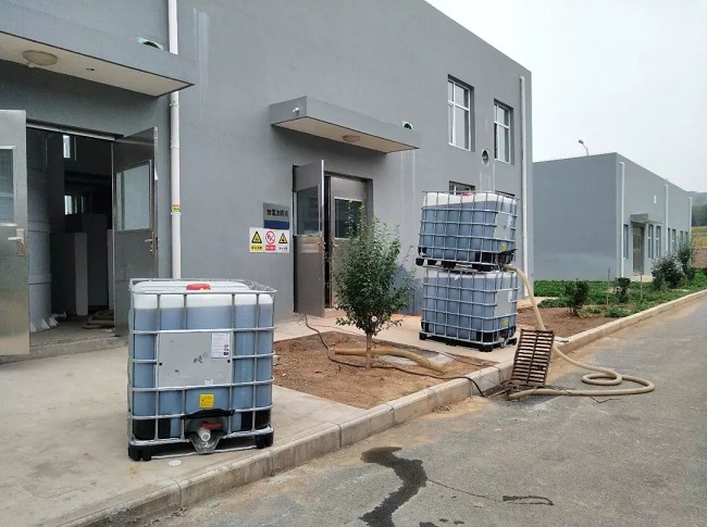 1569390928575534.jpg 1569390928575534.jpg