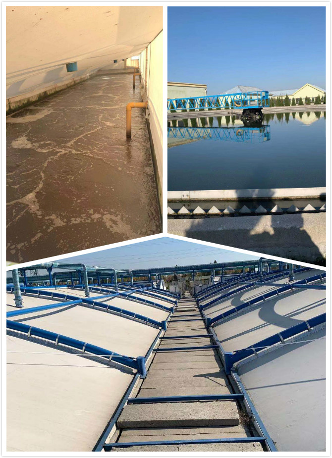 1573522078923511.jpg 2.jpg