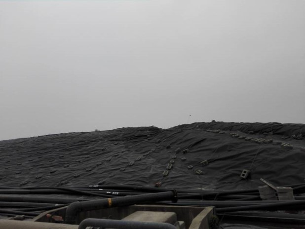 1573610523320043.jpg 圖片20.jpg