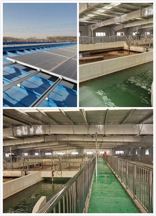 1574213745560357.jpg 微信圖片_20191114094406_meitu_1.jpg