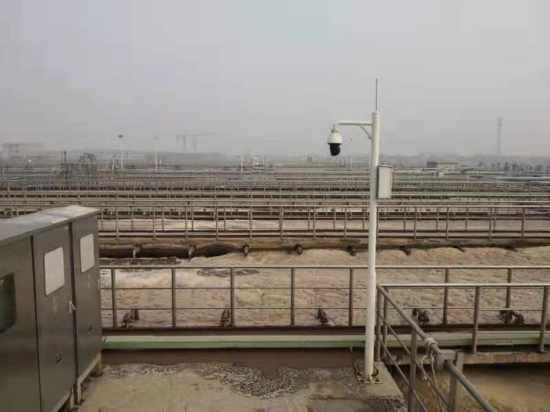 1580126487651691.jpg 7.jpg