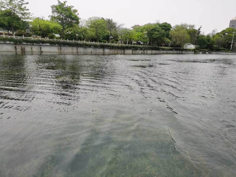 1589262936291438.jpg 1589262936291438.jpg