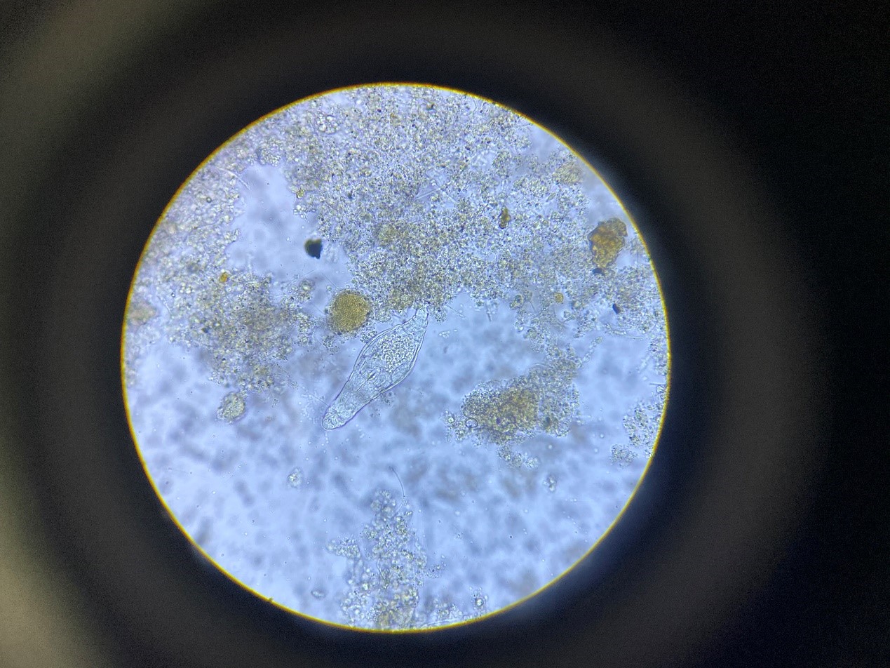 1589262988439320.jpg 1589262988439320.jpg