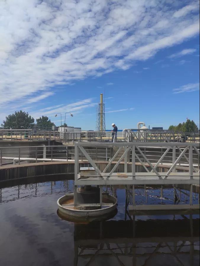 硝化菌.jpg 硝化菌.jpg