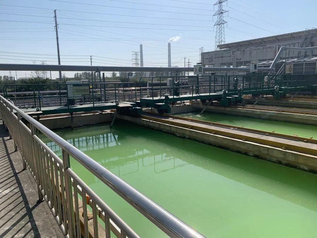 1604653649259202.jpg 1604653649259202.jpg