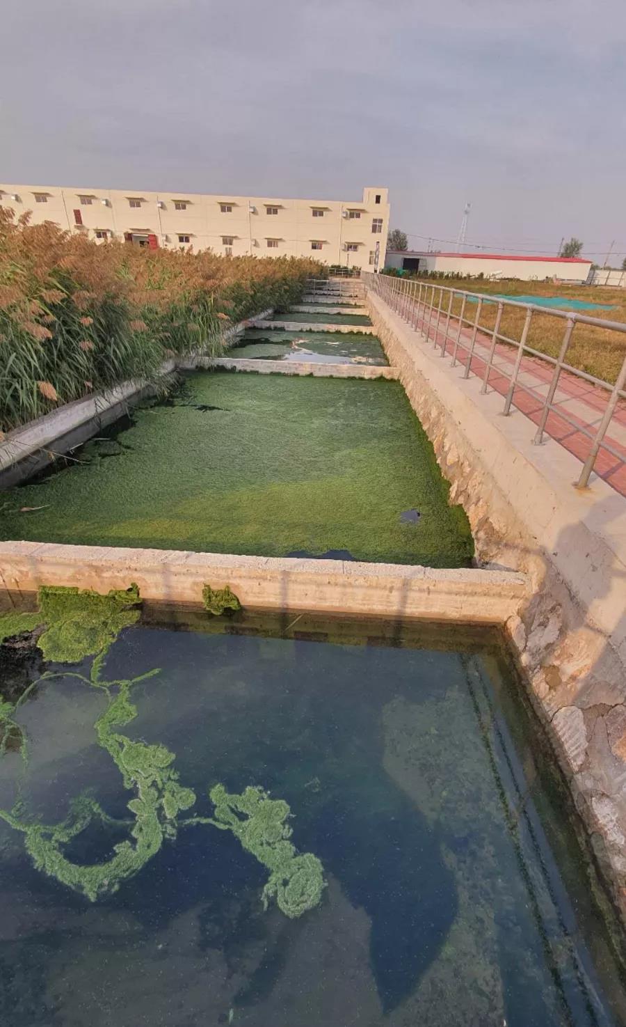 1604653850666715.jpg 1604653850666715.jpg