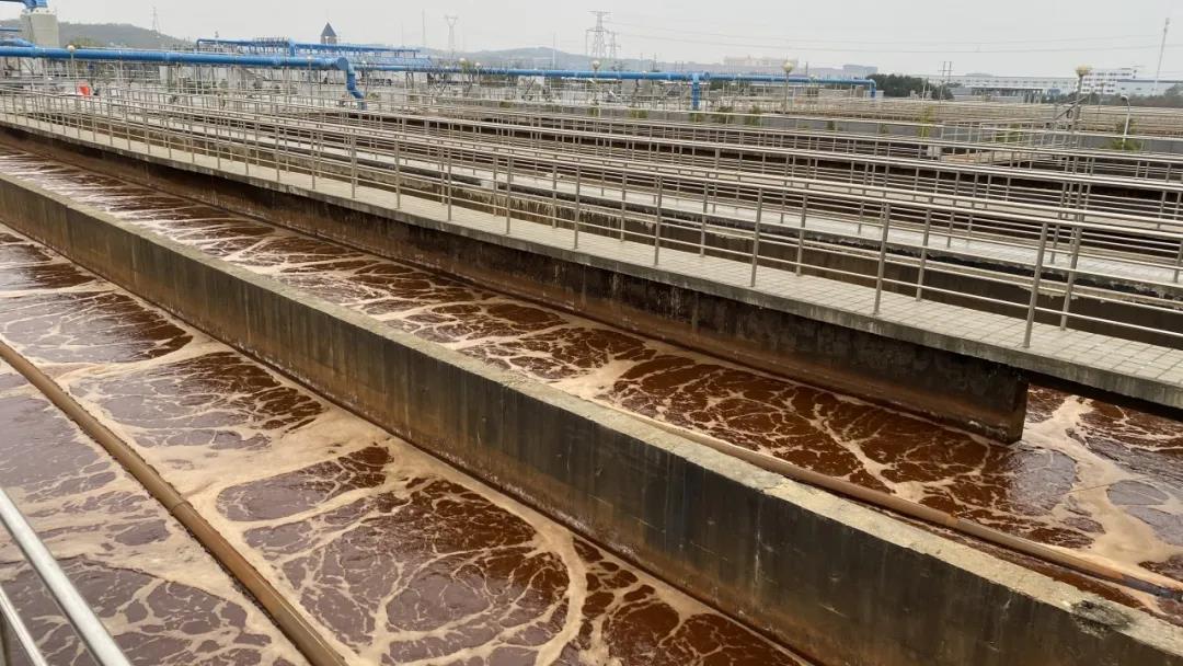 碳源.jpg 碳源.jpg