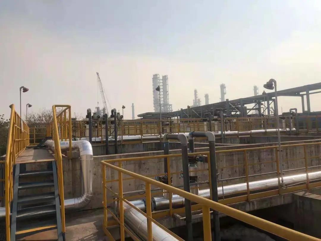 硝化菌種.jpg 硝化菌種.jpg