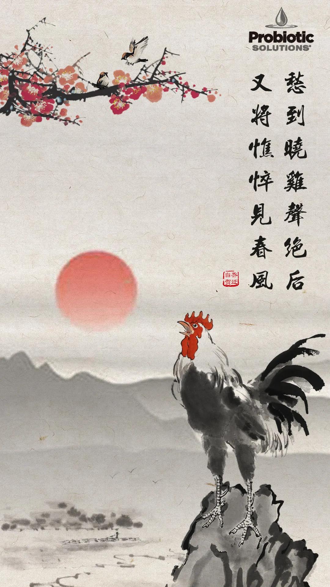 1611652365948995.jpg 1611652365948995.jpg