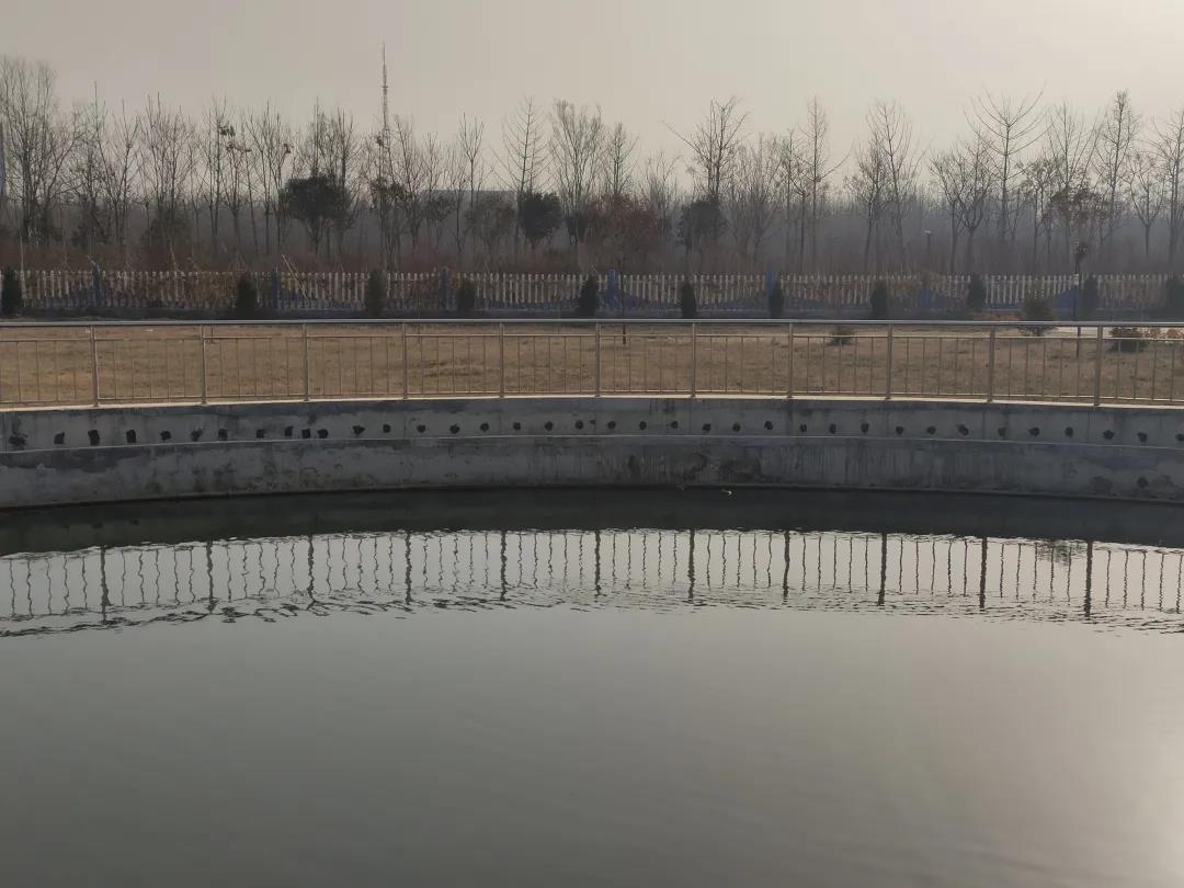 1612321426554576.jpg 1612321426554576.jpg