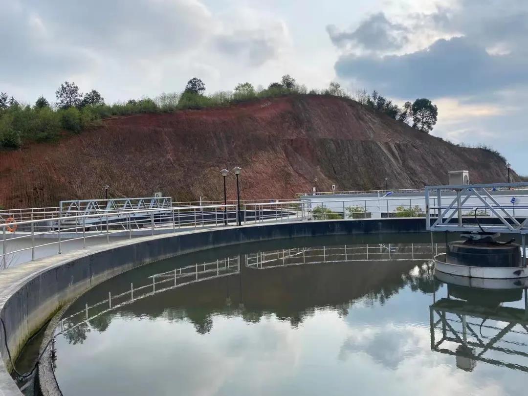 氨氮超標(biāo) 氨氮超標(biāo)