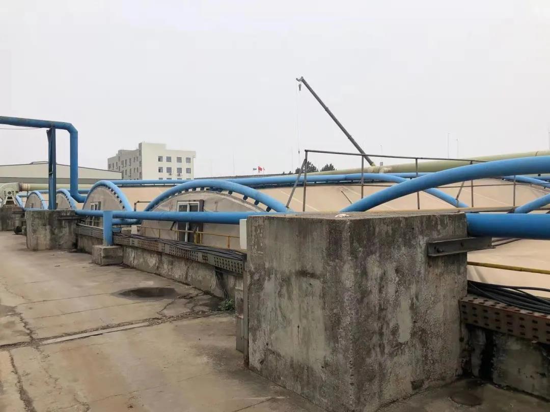 普羅生物去除COD 普羅生物去除COD