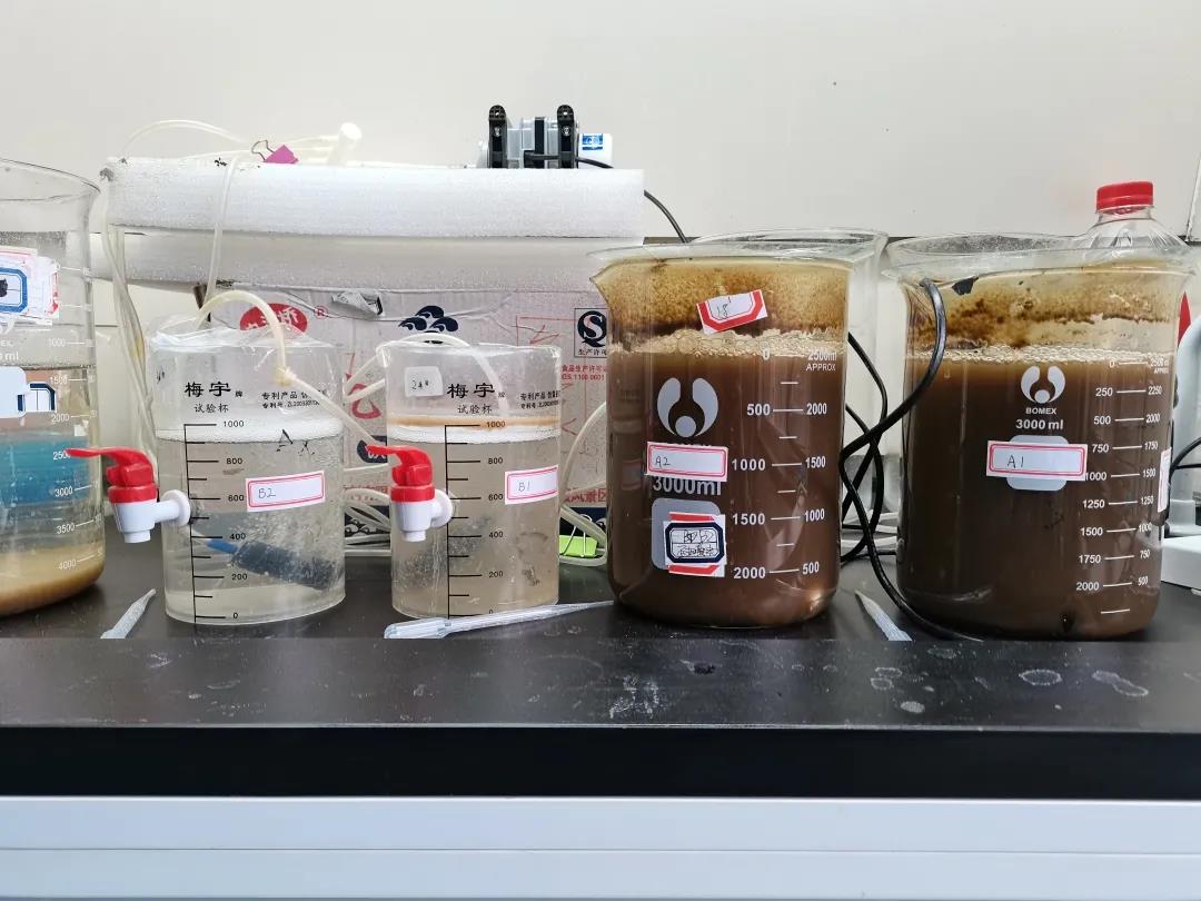 硝化菌種實(shí)驗(yàn) 硝化菌種實(shí)驗(yàn)