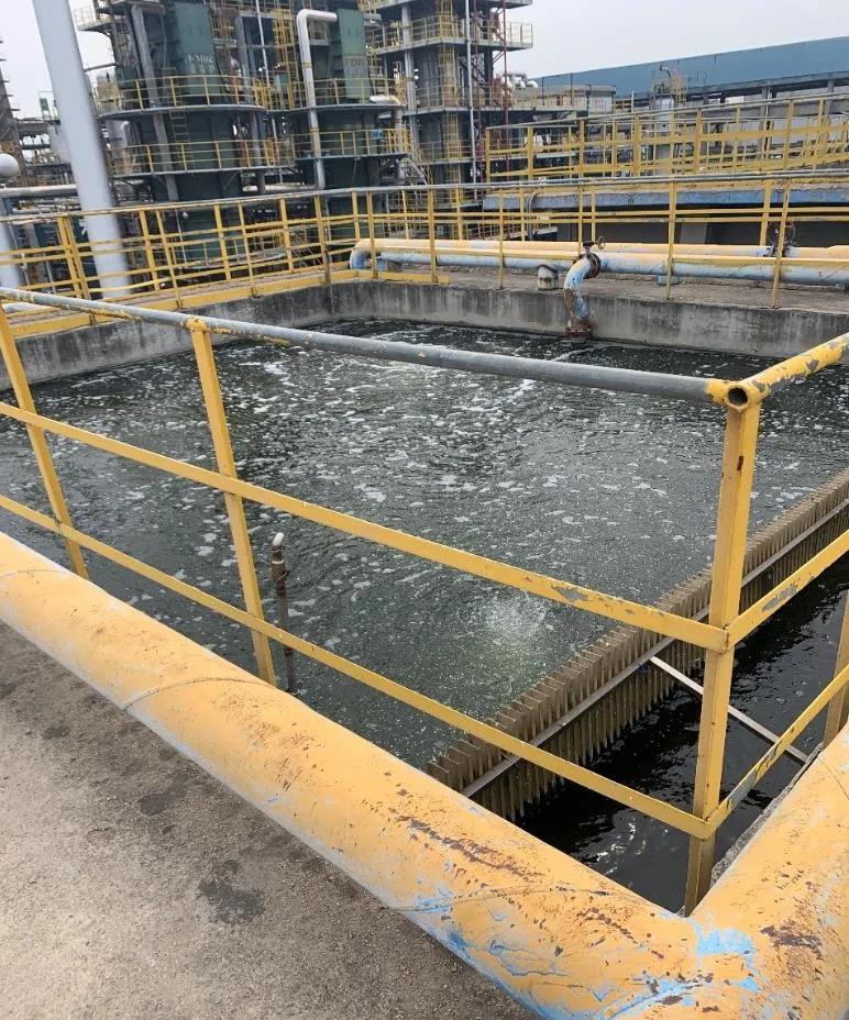 1619750919748122.jpg 1619750919748122.jpg