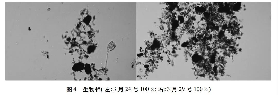 1630484130190465.jpg 5.jpg