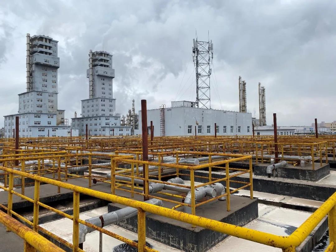 1635842838338992.jpg 1635842838338992.jpg