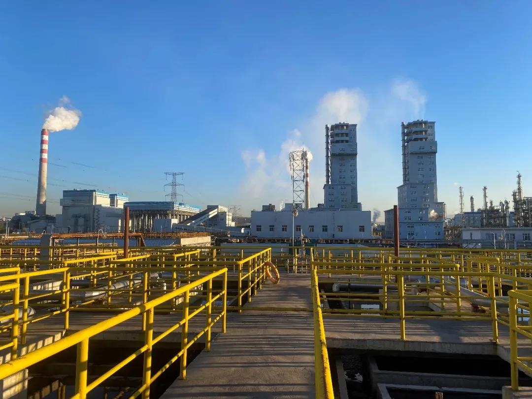 1635842890862201.jpg 1635842890862201.jpg