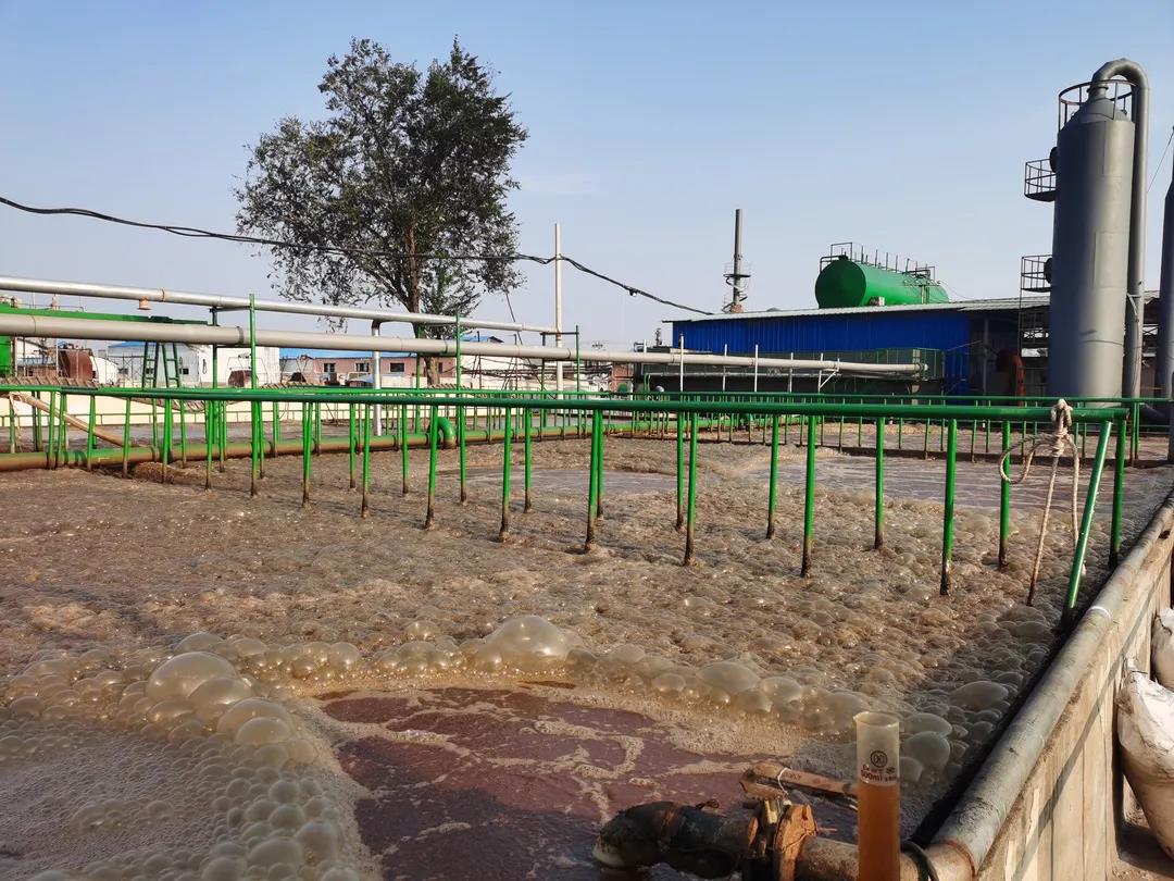 1635842954989819.jpg 1635842954989819.jpg