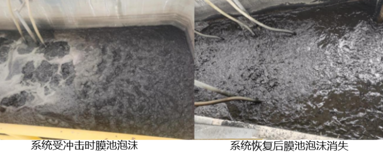 1660813189698803.png image.png