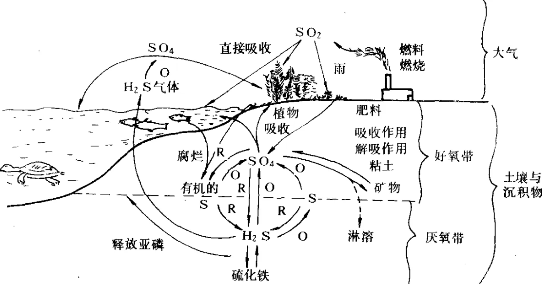 1662542246300950.png 1662542246300950.png