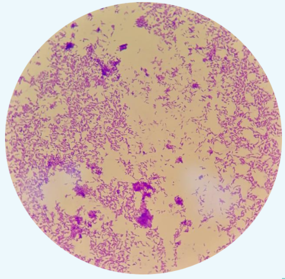 1664515389121129.png image.png