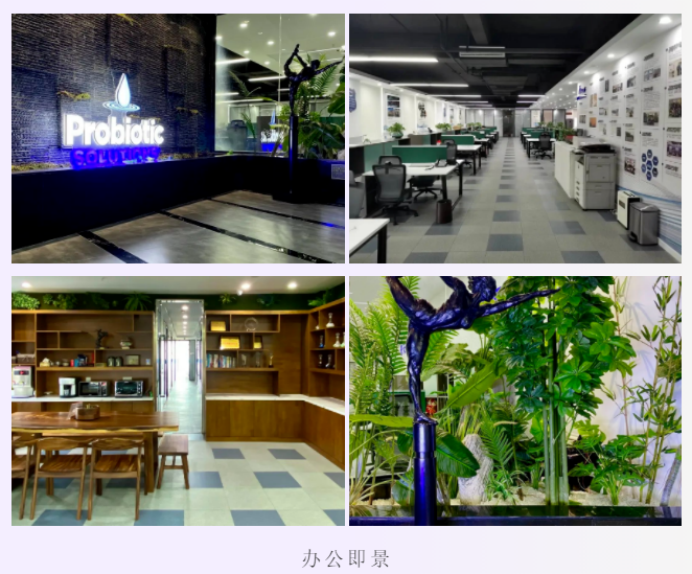 1666169482694998.png image.png