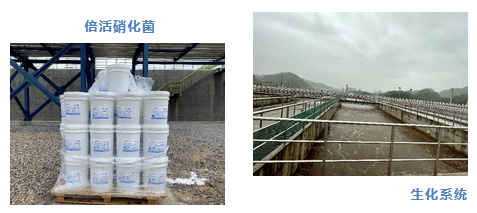 1701940866630468.png 33.png