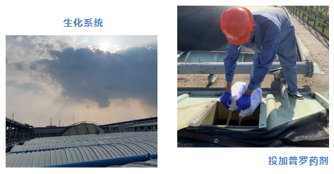 1701940895895659.png 44.png