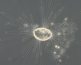 1737450056657037.png 33.png