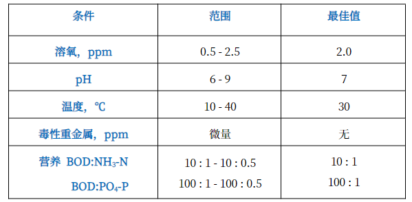 1747029141176310.png 5f73a2fbe05aa8ade3f3427de2e15d4.png